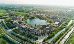 桐乡网红最新爆料,揭秘网红背后的惊人真相！